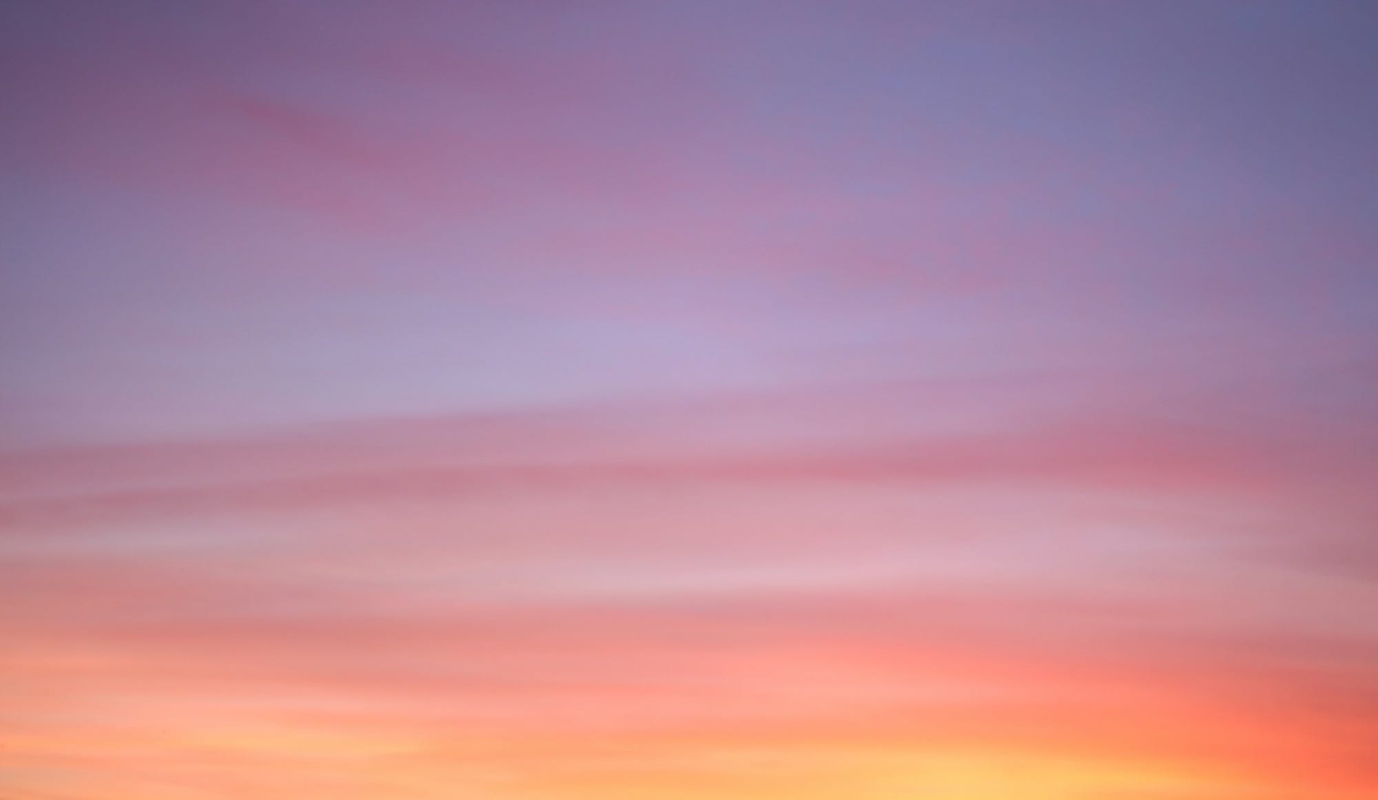 Daynote - Wed 26 Nov