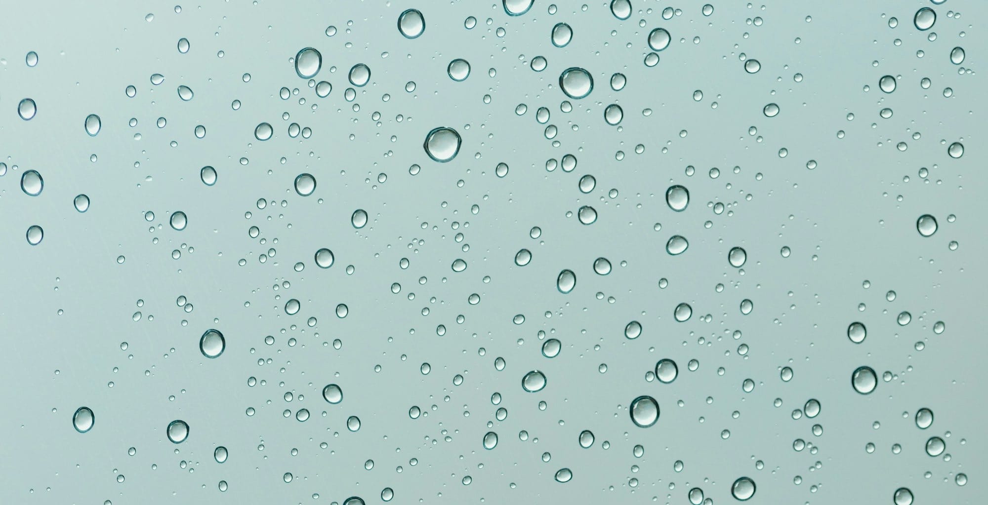 Daynote - Thu 13 Nov