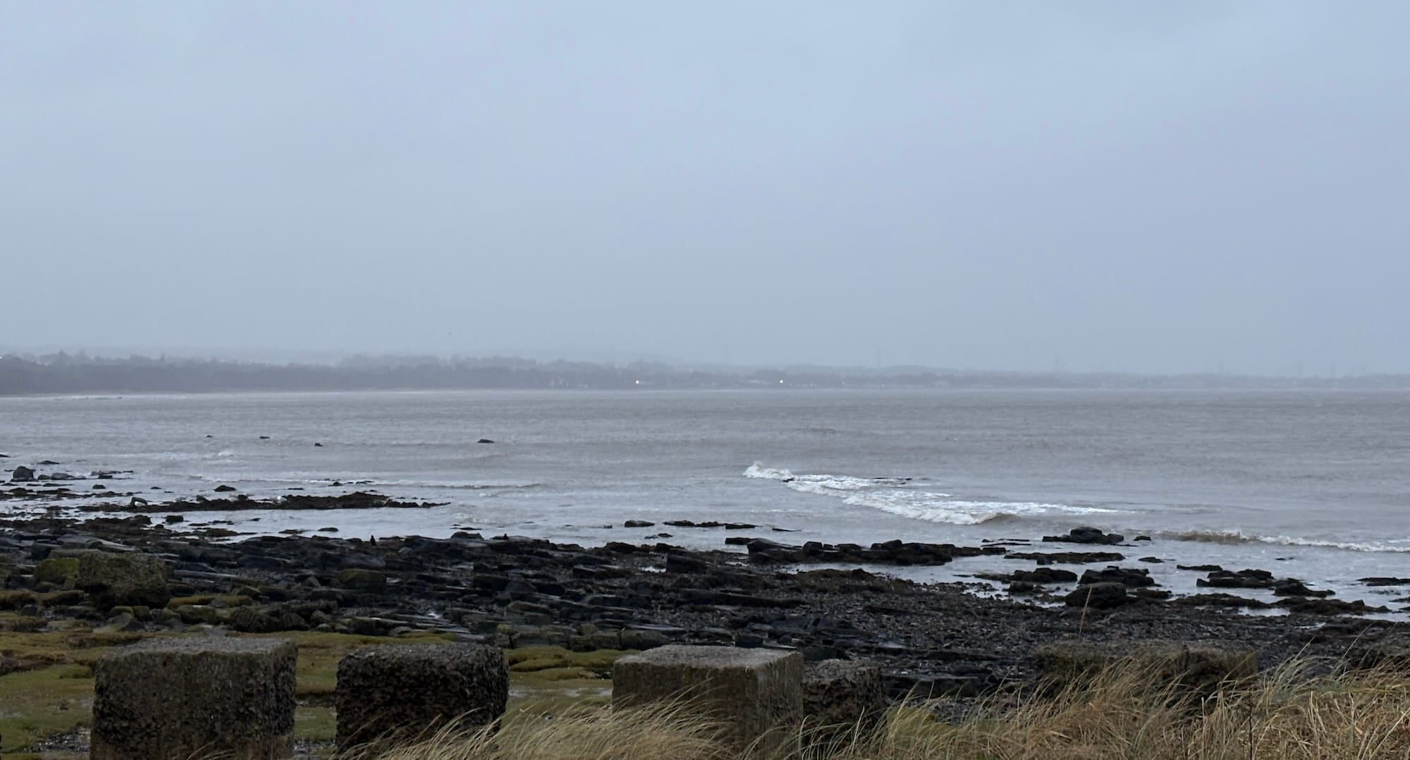 Daynote - Tue 27 Jan