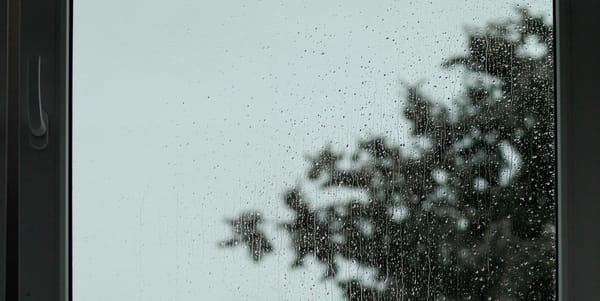 Daynote - Thu 29 May