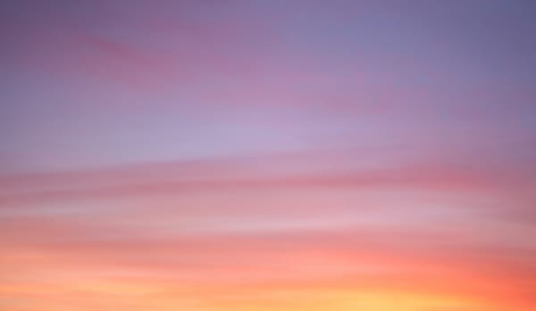 Daynote - Wed 26 Nov