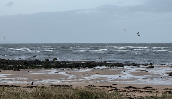 Kite surfers at the beach